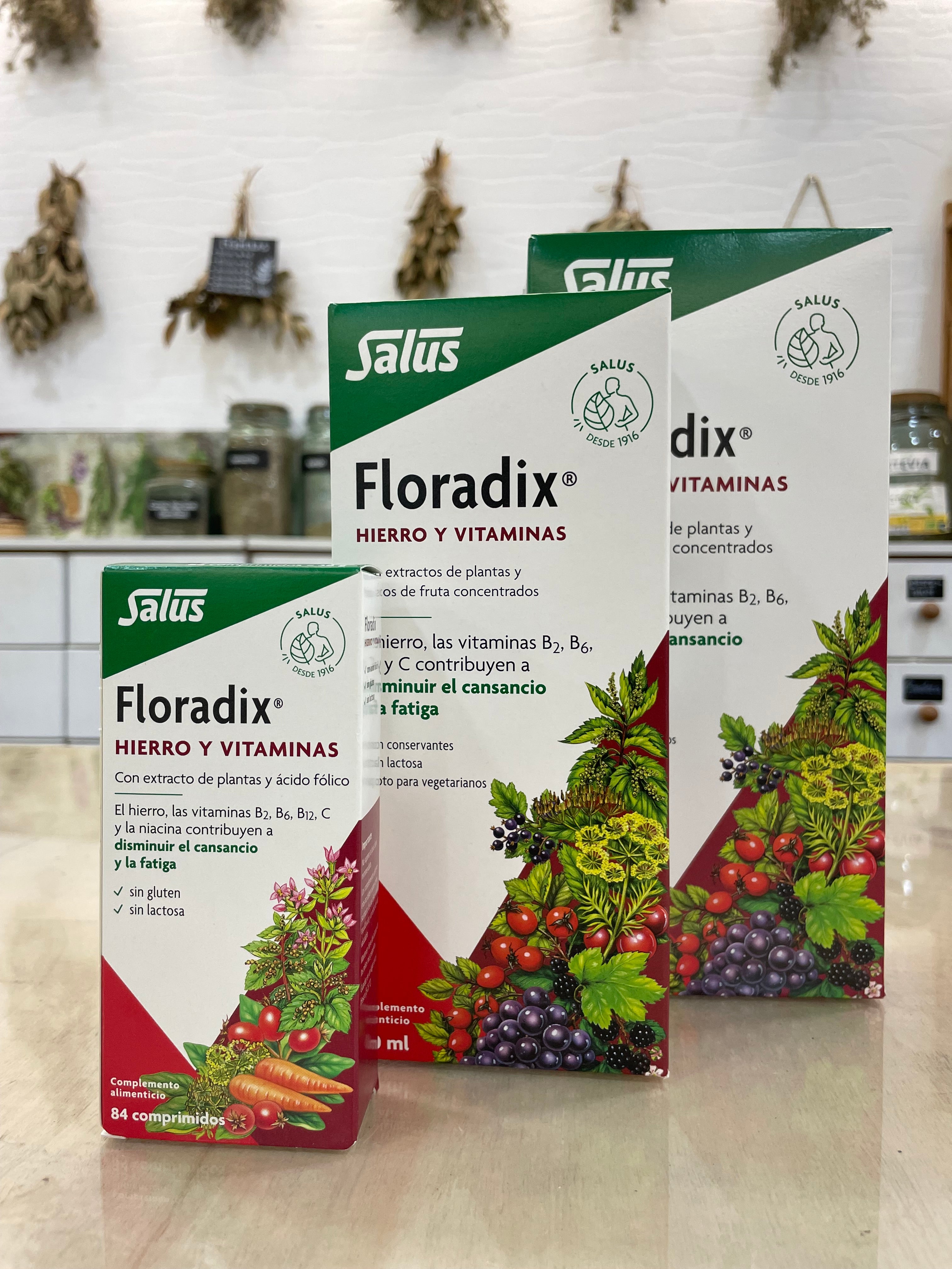Floradix 250ml